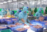 Doanh nghiệp thuỷ sản lo thiệt hại do thêm thủ tục hành chính