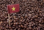 Cơ hội lớn cho doanh nghiệp khi Algeria miễn giảm thuế nhập khẩu cà phê