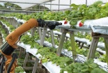 Áp dụng tiêu chuẩn ESG - ‘chìa khóa’ nâng cao hiệu quả hoạt động của doanh nghiệp