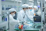 Đổi mới sáng tạo - yếu tố quan trọng cho thành công của doanh nghiệp