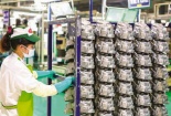 Doanh nghiệp chủ động chuyển đổi xanh – Đáp ứng yêu cầu ESG và tiêu chuẩn toàn cầu