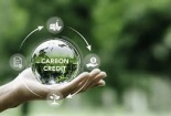 Xây dựng, ban hành các quy chuẩn, tiêu chuẩn kỹ thuật liên quan đến hạn ngạch, tín chỉ carbon
