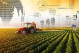Nông nghiệp công nghệ cao - tiêu chuẩn hiện đại giúp nâng tầm năng suất chất lượng sản phẩm