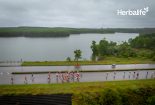 Herbalife Việt Nam tài trợ Giải Vô địch Quốc gia Marathon và cự ly dài Báo Tiền Phong năm thứ năm liên tiếp