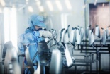 Biểu đồ cây giúp doanh nghiệp tạo ra chiến lược trong quá trình nâng cao năng suất