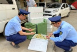 Lạng Sơn phát hiện 3.000 túi đậu phụ đóng gói nhập lậu
