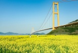 Nhật Bản ban hành bộ tiêu chuẩn công bố thông tin bền vững đầu tiên