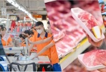 Vượt hàng rào kỹ thuật thương mại chinh phục thị trường EU bằng tiêu chuẩn