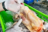 20 tấn gà 'bẩn' suýt được tuồn ra thị trường