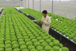 Tiêu chuẩn ISO 22000 đưa ra các yêu cầu toàn diện về quản lý an toàn thực phẩm
