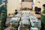 Sơn La phát hiện 300 kg rau, củ quả tại nhiều chợ chứa thuốc bảo vệ thực vật vượt ngưỡng