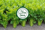 Yêu cầu về sử dụng thuốc bảo vệ thực vật đối với cơ sở sản xuất Halal