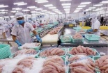 Cá tra Việt Nam rộng đường xuất khẩu sang thị trường Brazil
