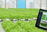 Từ nông dân truyền thống trở thành 'người điều hành farm số' chỉ bằng một nút chạm
