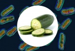 Thu hồi dưa chuột sau khi 26 người nhiễm khuẩn Salmonella