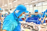 Đáp ứng tiêu chuẩn chế biến, truy xuất và chứng nhận Halal cá tra Việt đi sâu vào thị trường ngách
