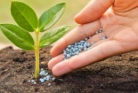 Chuẩn hóa nông sản để vượt qua rào cản thương mại, giữ vững thị trường xuất khẩu