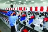 Hệ thống quản lý môi trường ISO 14000 mang lại nhiều lợi ích cho doanh nghiệp