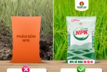 NPK Cà Mau 20-10-10: Chọn đúng, trúng mùa vàng