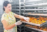 Doanh nghiệp vươn xa nhờ đổi mới công nghệ và chuyển đổi số