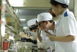 Công nghệ sinh học mở đường cho nông nghiệp xanh hiện đại