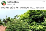 Hàng trăm nghìn hộp siro 'ăn ngon' của TikToker nổi tiếng bị phát hiện là hàng giả