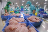 Hoa Kỳ giữ nguyên thuế 0% với cá tra - basa Việt Nam