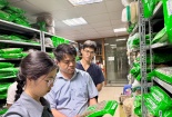 Không có 'vùng cấm' trong xử lý hàng giả, buôn lậu trong lĩnh vực y tế