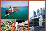 Singapore siết chặt quy định về khai báo xuất xứ hàng hóa