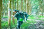 ISO 14001:2015 với Kaizen: Giải pháp giúp doanh nghiệp nâng cao năng suất, bảo vệ môi trường
