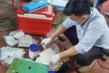 Hoa chuối ngâm hàn the, chất tẩy trắng độc hại: Lợi nhuận trước mắt, hệ luỵ lâu dài