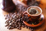 Phát hiện mới về caffeine – chất kích thích giúp kéo dài tuổi thọ tế bào