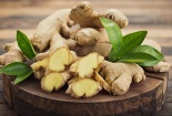Củ gừng mang lại nhiều lợi ích cho sức khỏe nhất là hỗ trợ kiểm soát đường huyết