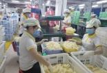 Doanh nghiệp ngành cao su áp dụng các hệ thống quản lý nhằm nâng cao chất lượng sản phẩm