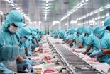 Áp dụng mô hình JIT: Bí quyết tối ưu hóa hoạt động doanh nghiệp