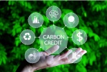 Thúc đẩy thị trường tín chỉ carbon hướng tới phát triển bền vững