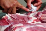 Cảnh báo: Thịt lợn nhiễm dịch tả có thể nhận biết bằng mắt thường