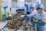 Doanh nghiệp chuyển mình mạnh mẽ nhờ kết hợp công cụ cải tiến và hệ thống quản lý