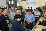 Chuyển đổi xanh: Chiến lược tất yếu để TP.HCM giữ vững vai trò đầu tàu kinh tế