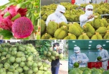 Công nghệ chống giả nông sản: Vì sao vẫn bị… bỏ ngỏ?