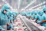 Thủy sản Việt tăng tốc xuất khẩu trước hạn thuế quan của Hoa Kỳ