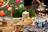 Doanh nghiệp cần tuân thủ các quy định hết sức chặt chẽ về nhãn mác thực phẩm xuất khẩu vào EU