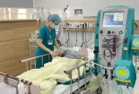 Bệnh viện Bạch Mai cảnh báo khẩn về thuốc chống viêm Phenylbutazone 