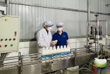 Cơ hội cho Việt Nam thu hẹp khoảng cách về năng suất chất lượng với các quốc gia khác