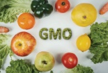 Thực phẩm biến đổi gen: Nguy cơ hay cơ hội?