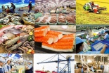 Đẩy mạnh các giải pháp thúc đẩy xuất khẩu, phát triển thị trường ngoài nước