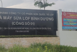 Sữa Quốc tế Lof bị 'tuýt còi' vì vi phạm công bố thông tin, phạt 185 triệu đồng