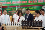 Tôn vinh và phát triển tinh hoa nghề thủ công truyền thống