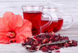 Sử dụng trà hoa dâm bụt hỗ trợ cho sức khỏe và các khuyến cáo cần lưu tâm