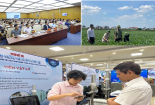 Hải Phòng tạo đột phá từ khoa học – công nghệ và chuyển đổi số